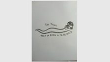 'Neil Young imagined as eel'