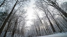 Snowfall in Canada