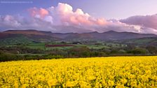 Fields awaken and mountains sing. A beautiful April glow on the Beacons.