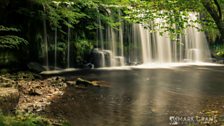 Lush green leaves, surging streams and whirling pools...  What a sight!