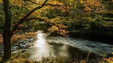 Izzy captured this scene on a muddy October scramble in Pontneddfechan