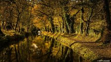 Matt took a stroll down the canal near Crickhowell, in the east of the national park