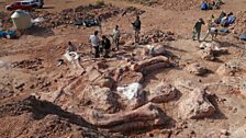 Filming fossil bones at the dig site