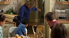 W is for Wellard 2