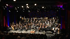 The  Concert Orchestra