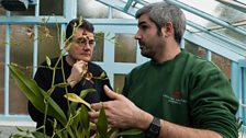 Down House head gardener Rowan Blaik with Jim Endersby in Darwin's greenhouse