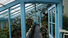 The newly restored Darwin’s greenhouse