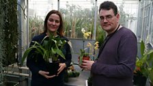 Lara Jewitt, Science Collections Coordinator, looks after 3000 species of orchid at Kew Gardens