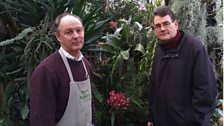 Jim Durrant and Jim Endersby at McBean’s Orchids, Sussex