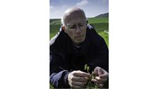 Mike Hutchings on the South Downs near Brighton with one of his beloved Spider Orchids