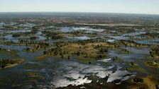 Okavango Delta flood