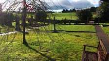 Another view of God's Acre. The broad grass areas are the Famine Plot