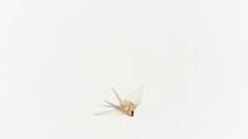 Tomoko Yoneda - Sadako's Paper Cranes of Prayer