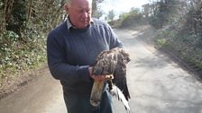 Chris was very upset to find one of the buzzards that lives on the farm dead recently