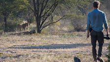 Gordon and the bushmen confront a lion on foot