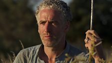 Gordon Buchanan on foot in lion country