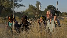 Taking a rest from tracking lions