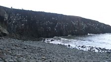 A viewpoint of Cullernose Point