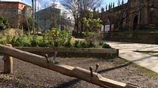 Pocket Parks in Manchester