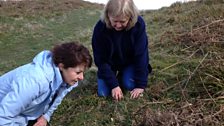 Helen Mark and Sarah Gibson of the Shropshire Wildlife Trust hunting for the Violet Oil Beetle