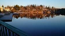 'Traffic' on the Muskoka River