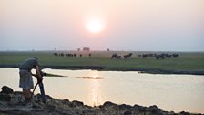 Producer Mark Wheeler stands in Botswana while filming elephants in neighbouring Namibia