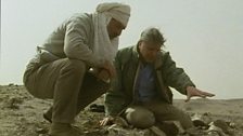 Paleontologist, Dick Moody, shows David his major find of an immense fossilized skeleton dinosaur in the Saharan desert.