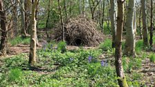 The Wild-life "hobbit house"