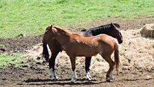 Barry photographed these two on the Isle of Wight