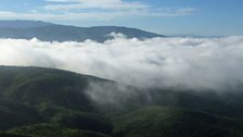 Lush Malawi after the rainy season