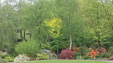 A view across the lawn