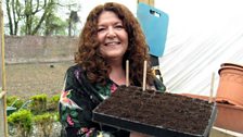 Kim with her seed trays planted up with salad