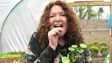 Kim tries some edible nasturtium flowers at the walled garden