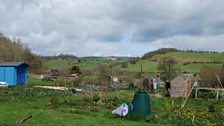 The Allotments