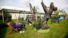 Admiring the Woodland Trust's display