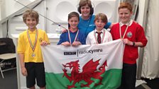 Eisteddfod Yr Urdd - Sir y Fflint 2016