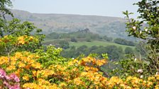 Gerddi Bodnant yn Nyffryn Conwy, lluniau gan Tudur Aled Davies