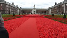 Knitted Poppies...