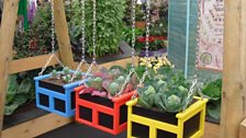 A Detail of The Urban School Garden in The Great Pavillion