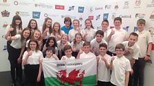 Eisteddfod Yr Urdd - Sir y Fflint 2016