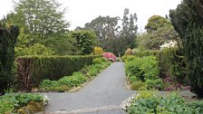 The Herbaceous Border