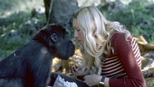 Koko & Penny Patterson have a picnic