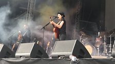 Wild Life Festival: James Bay