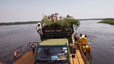 Giraffe ferry