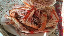 Langoustines