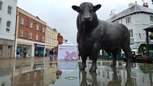 Hereford EU Referendum Market Stall