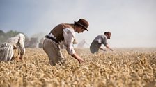 Farm workers