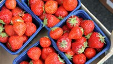 Fresh fruit and vegetables at the market