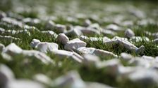 19240 Shrouds of the Somme