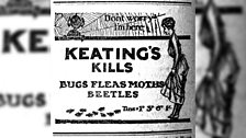 Keating's kill bugs fleas and beetles